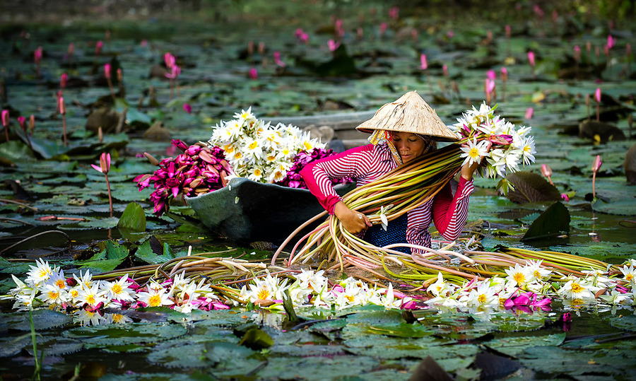 Lịch sử và cư dân Nam Bộ